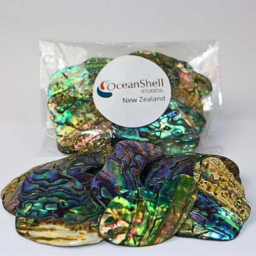 Abalone shell - (pāua),