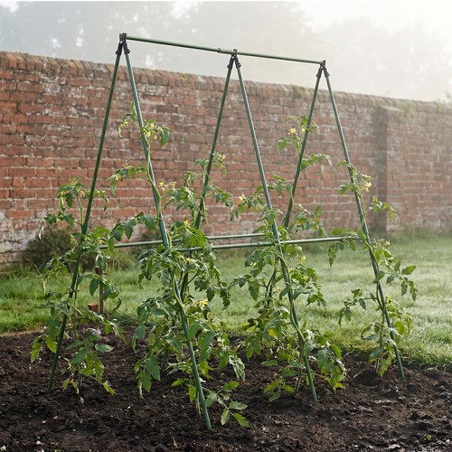 Cucumber trellis for climbing - trellis,