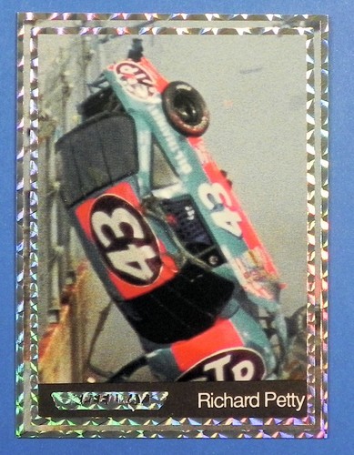 Richard petty 1991 - petty, (1)