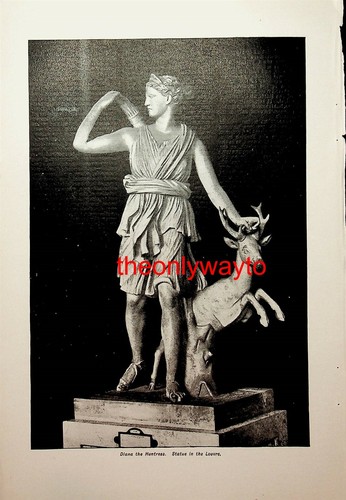 Diana the huntress book - diana,
