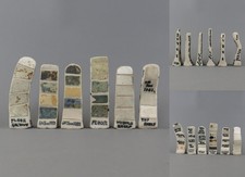 6 Rosemary D Wren Oxshott