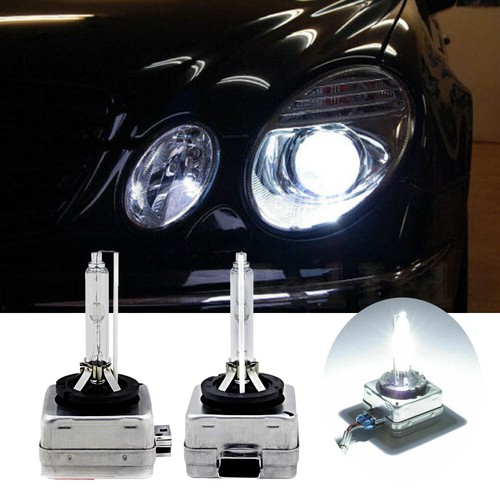 D1s bulbs xenon white 6000k - bulbs,