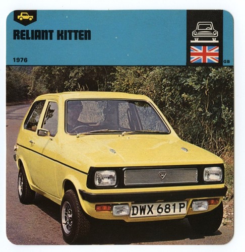 Reliant kitten - reliant, /