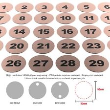 1-100 Laser Engraved Number