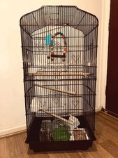 Large Metal Bird Cage Canary