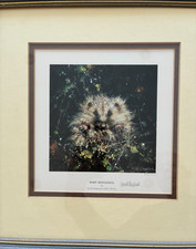 David Shepherd limited edition