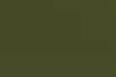 Gloss army colours spray - gloss,