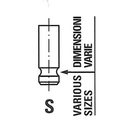 Intake valve fits daf - valve, cf