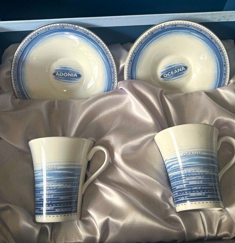 Wedgwood equator cup - equator, &