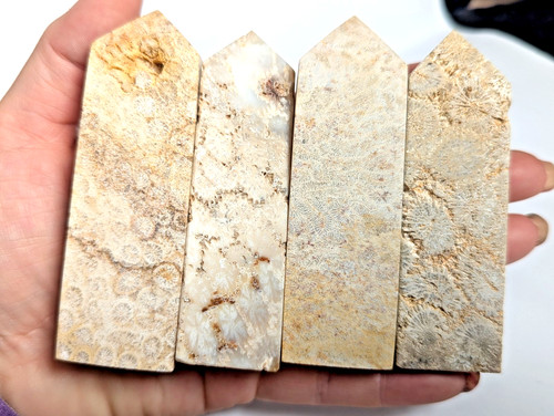 Fossilised coral tower crystal - coral,