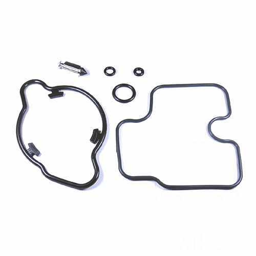 Carburetor repair kit - repair, for