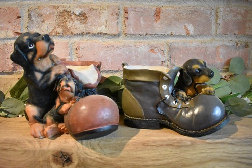 Rottweiler puppies on boot - rottweiler,