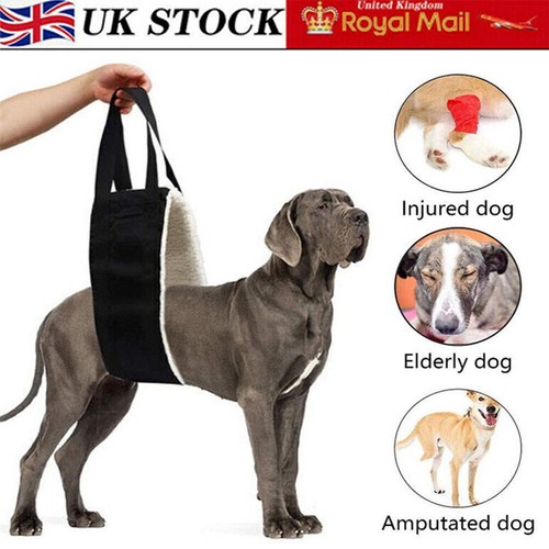 Pet dog mobility - pet,