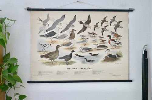 Vintage school wall - vintage, |