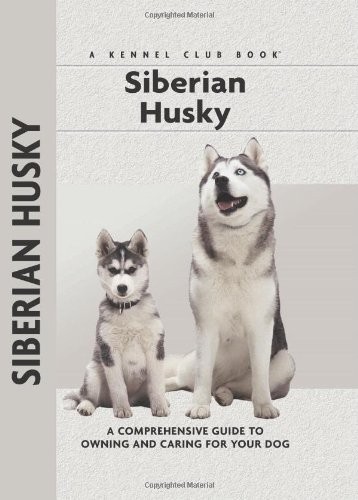 Siberian husky a - siberian,