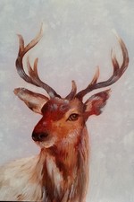 Original Painting of Stag.