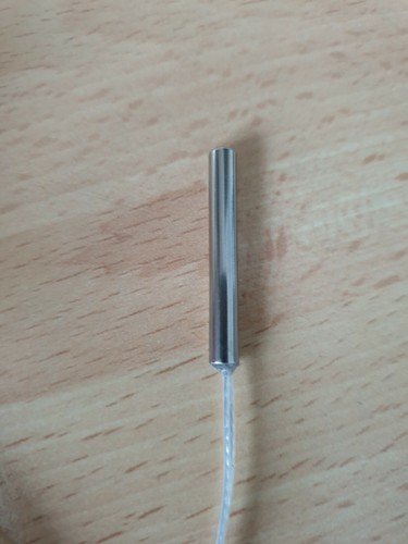 2xpt1000 probe 4mm 30mm - 4mm*30mm, .2m