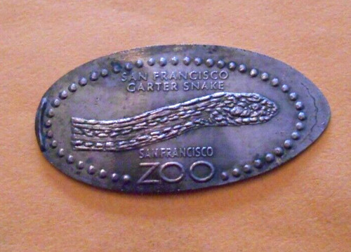 San francisco zoo elongated - san,