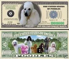The POODLE - BILLION DOLLAR