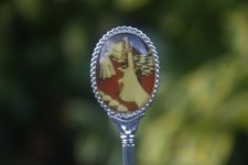 Vintage Spoon King Charles and