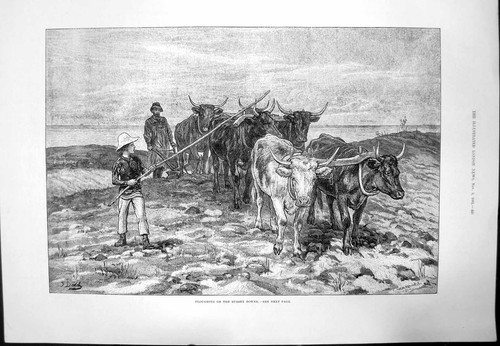 Original old antique print - original,