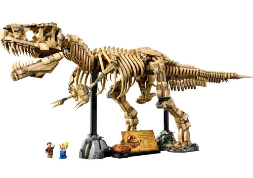 Rex dinosaur skeleton - rex,