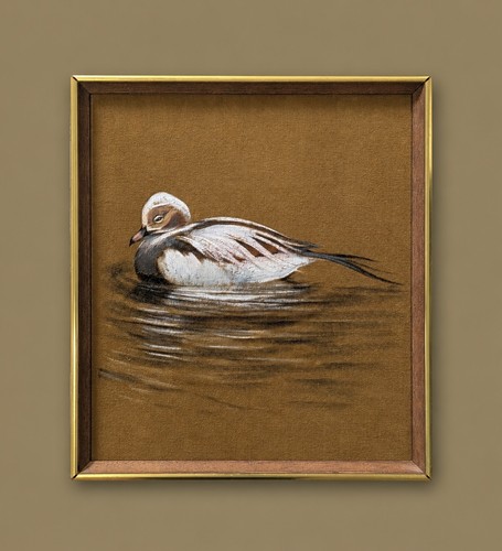 Phil blackburn original - blackburn,