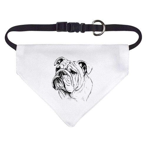English bulldog portrait dog - 'english, portrait'