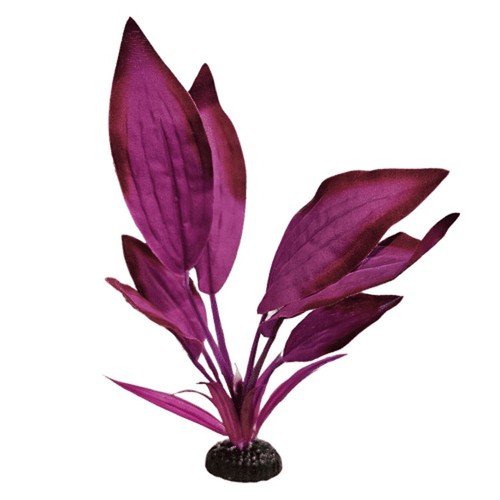 Purple bleheri silk like - bleheri,