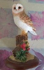 Border Fine Arts Barn Owl Figurine Mounted 2005