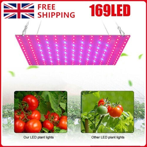 2000w led grow light - 2000w,