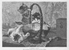 CATS The Merry Party from the Painting by Henriette Ronner - Antique Print 1893