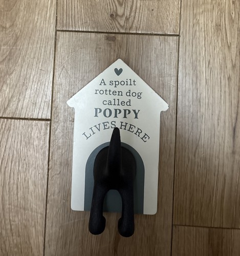 Pre personalised dog - pre, lead