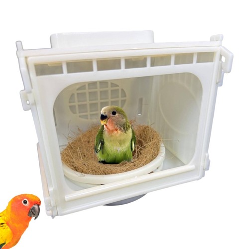 Bird breeding nest box - breeding,