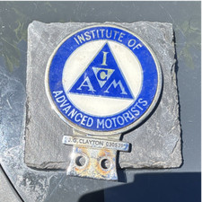 Institute advanced - institute, of