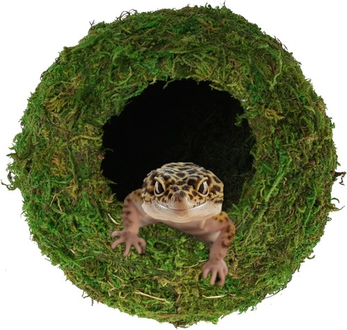 Mossy caves artificial green - artificial,