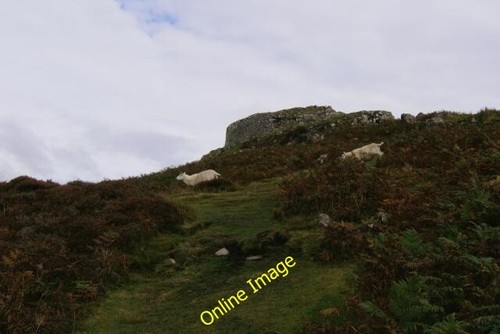 Photo 6x4 sheep race beneath - 6x4,