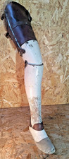 Antique Prosthetic leg