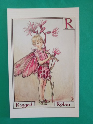 Flower fairies postcard - fairies, –