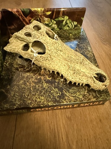 Exo terra crocodile skull - terra,