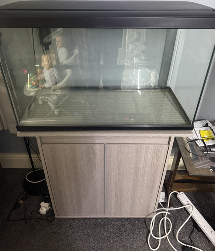 Glass rectangle aquarium fish - aquarium,