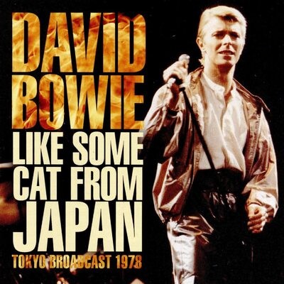 David bowie like some cat - david,