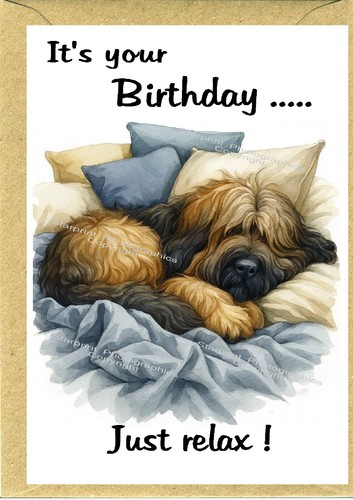Briard dog birthday card - birthday, (4"x