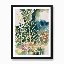 Montipora Vintage Graphic