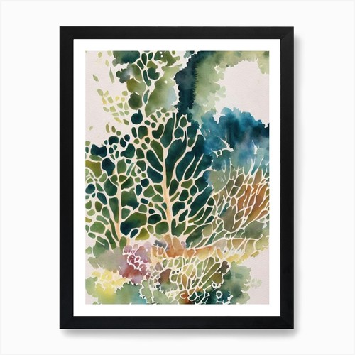 Montipora vintage graphic - montipora,