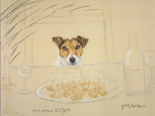 Jack russell terrier - jack, print