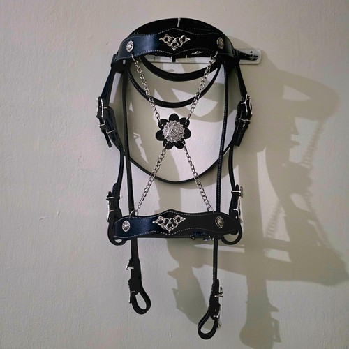 Baroque style fancy - , horse