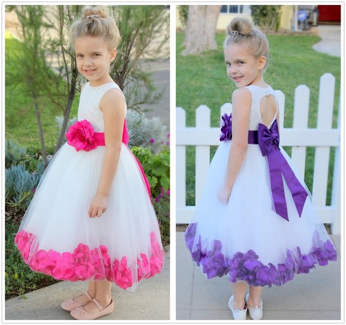 Rose petals lace - rose,
