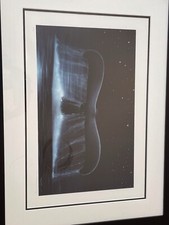 Wyland Tales Of Great Whales 