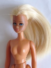Gorgeous Palitoy Pippa  Britt